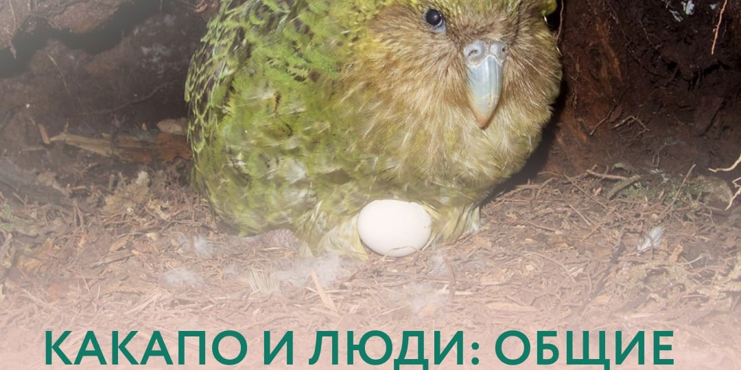 🌿 Почему путь к беременности через ЭКО иногда занимает больше времени, чем мы ждали