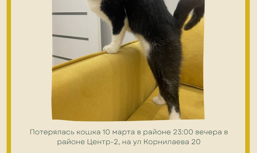 Добрый день