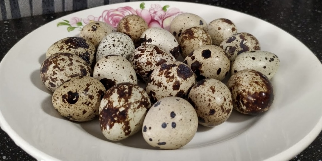 Мочевая кислота после 60 лет: физиологические причины повышения и рацион для снижения