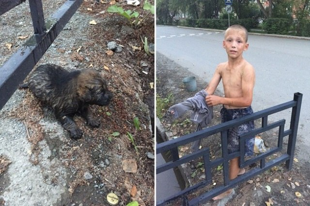 Маленький герой большого города