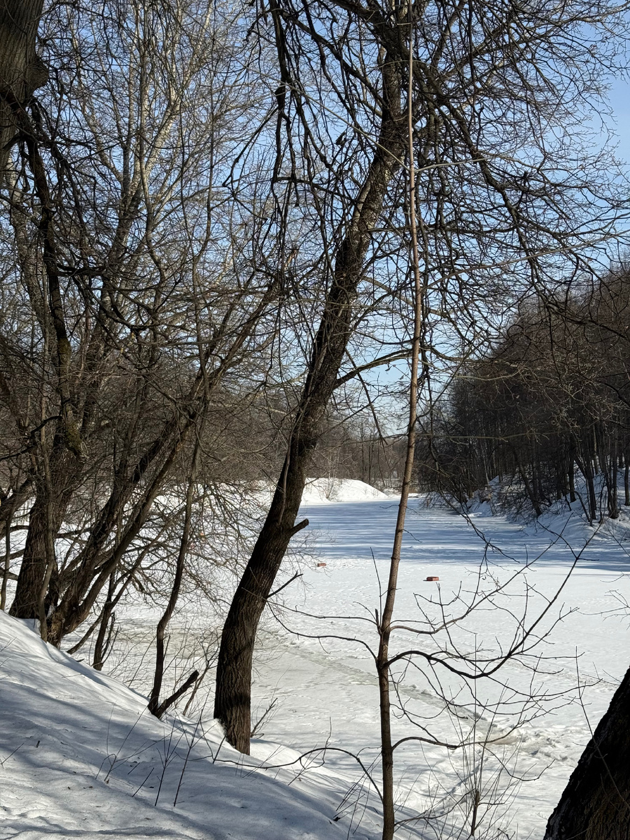 Герцинские пруды