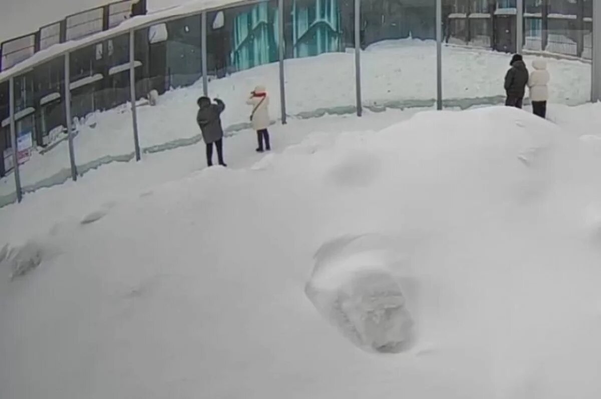    Женщина попыталась подкинуть таблетки полярным медведям в Пермском зоопарке