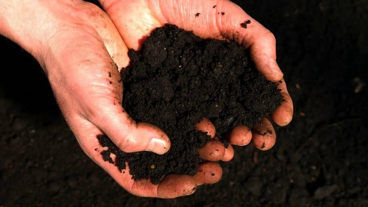 Земля. Яндекс Картинки