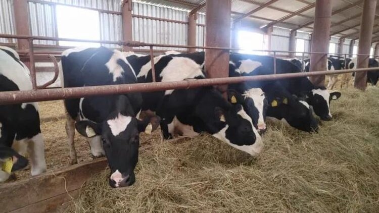    Фото: Минсельхоз Республики Башкортостан