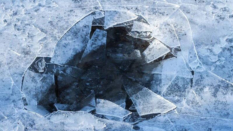    Фото: Evannovostro/Shutterstock/Fotodom