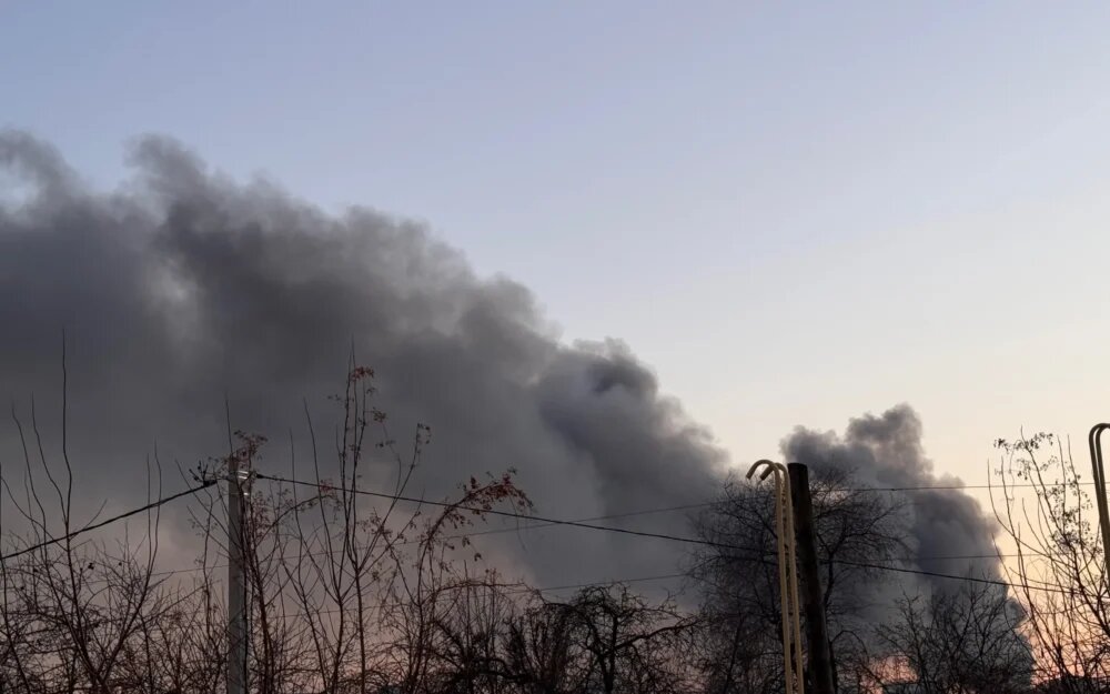    Фото: "Брянские новости"