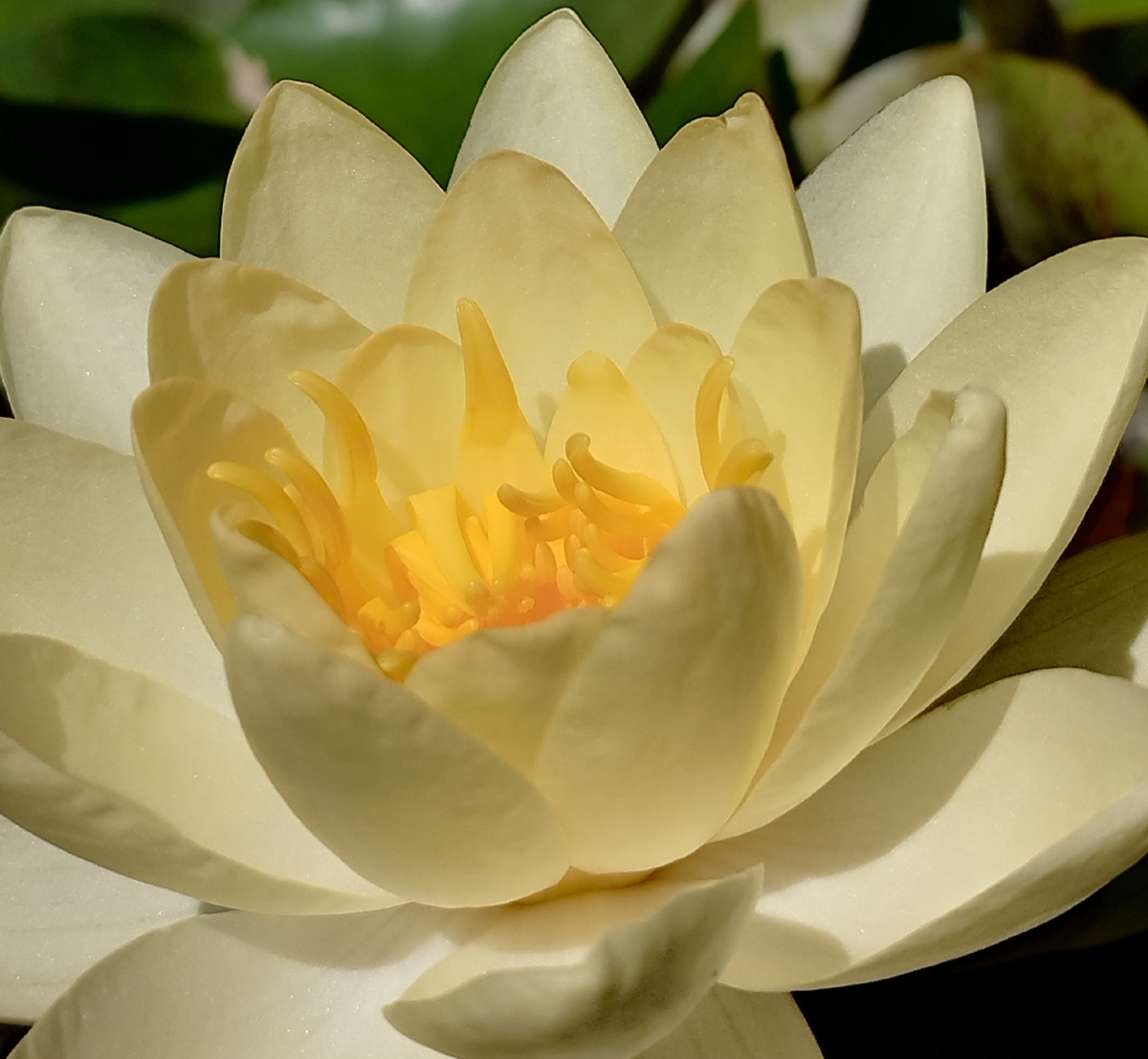 Немного позитива в ленту😘😘😘