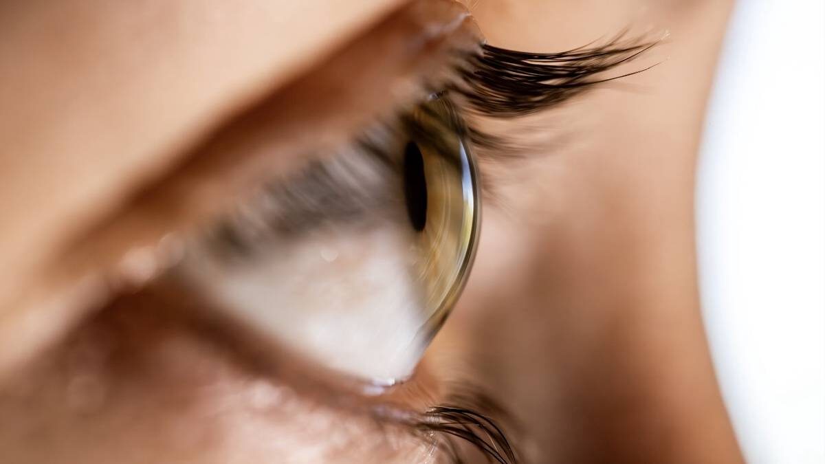    Фото: Shutterstock