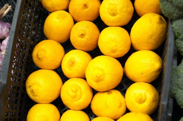   Фото из архива Калининград.Ru