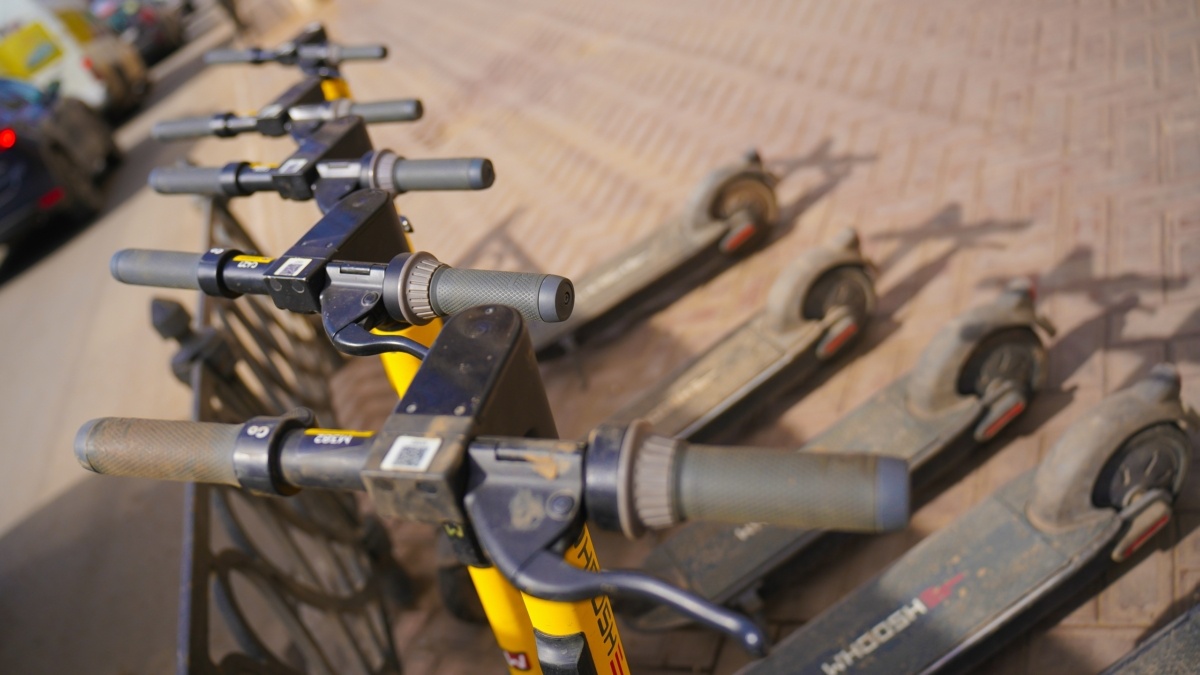 Светлана Мулыкина📷
