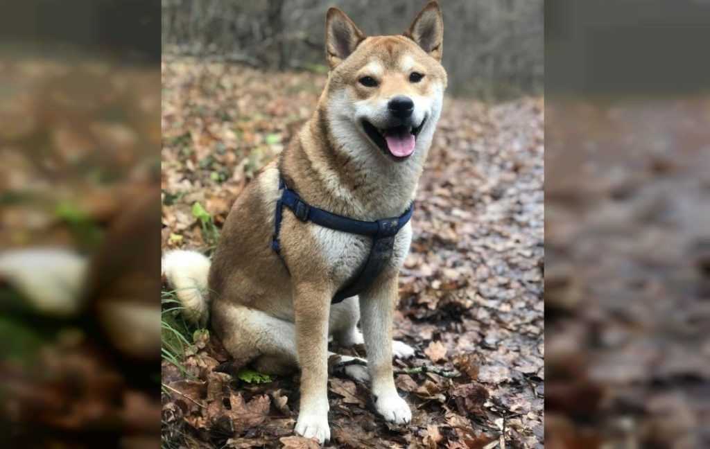    Фото: @haadrinsky