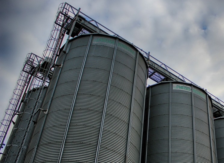 Минсельхоз США снизил прогноз экспорта пшеницы из России