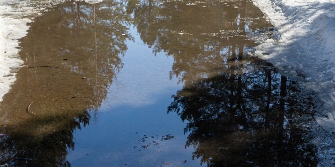 На 10°С теплее нормы: на этой неделе в Удмуртию придет весеннее тепло