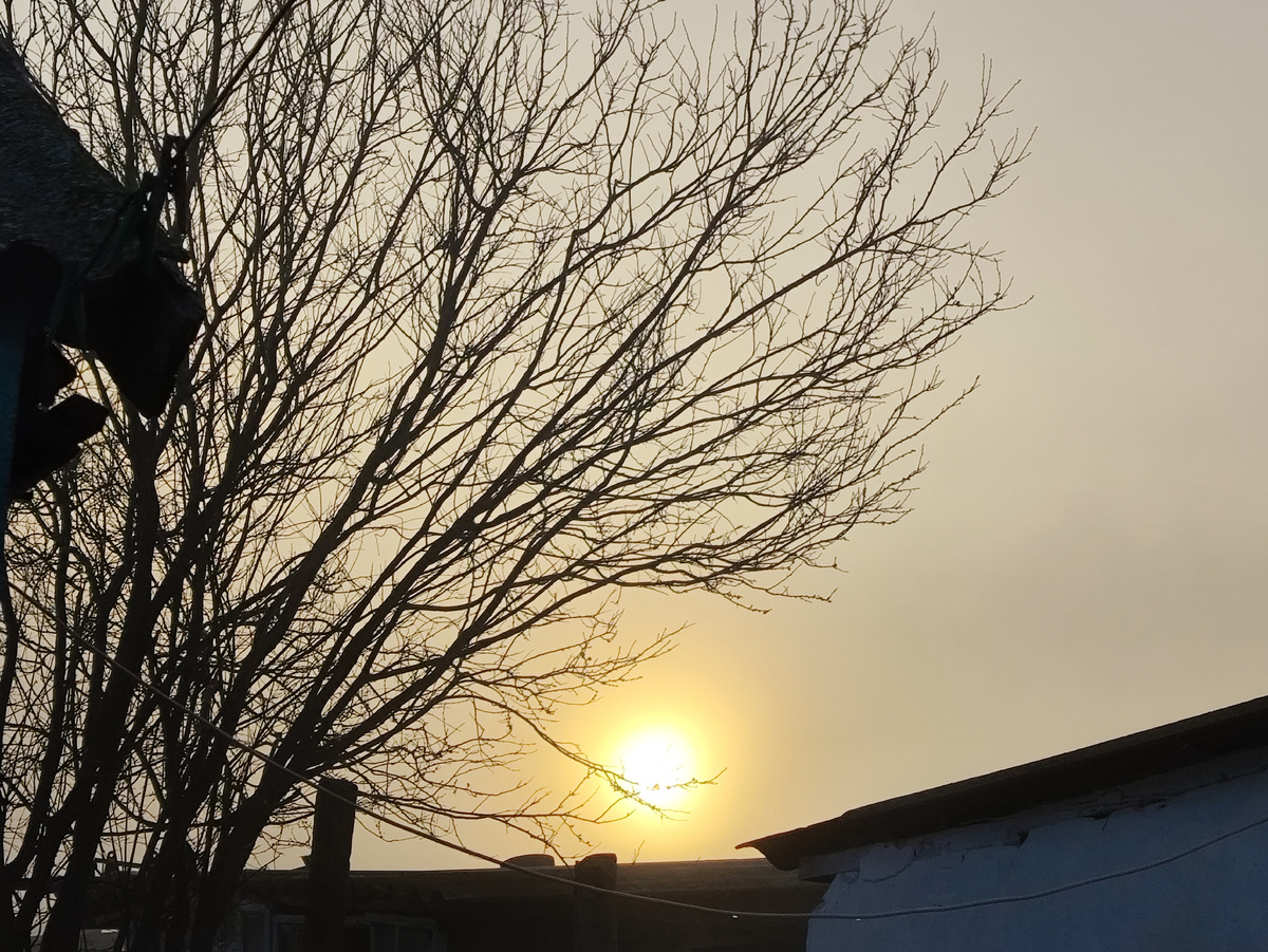 Солнце в тумане