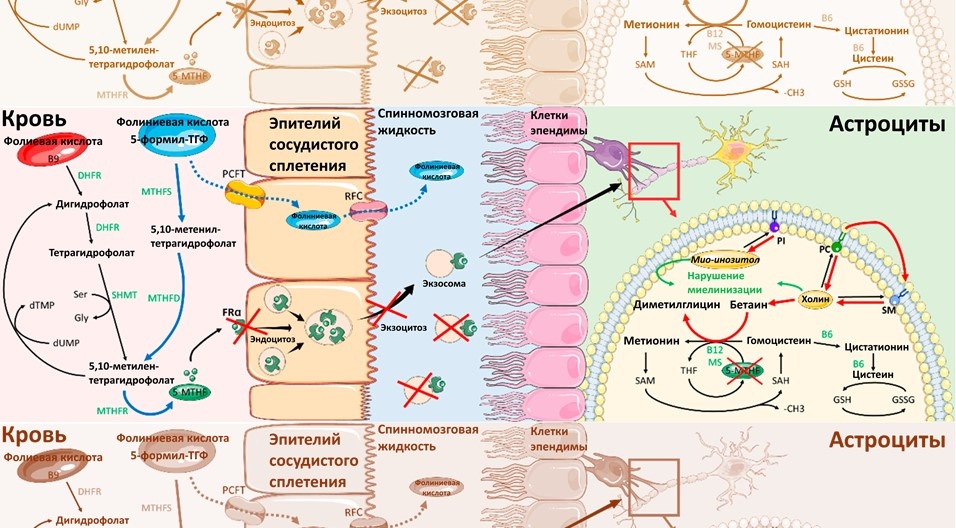   Sarah Mafi / Wikimedia Commons / CC BY 4.0