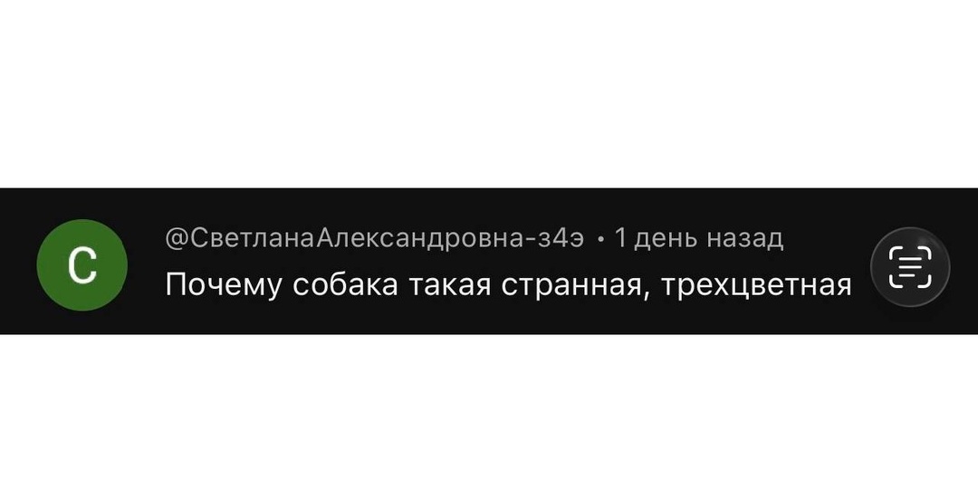 Даже и не знаю что на это ответить