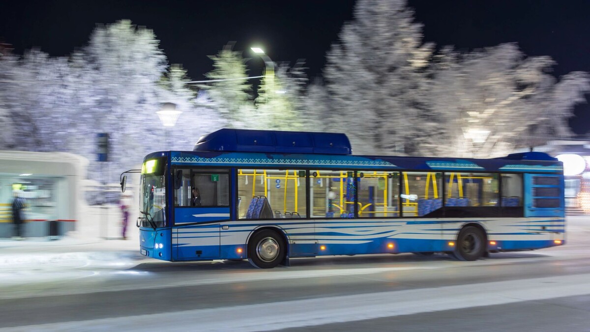    Фото: Федор Воронов / «Ямал-Медиа»