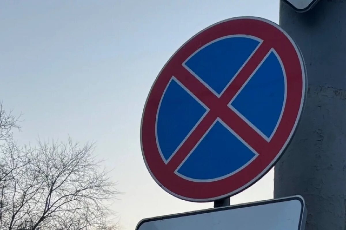    В Рязани приостановили работу платных парковок