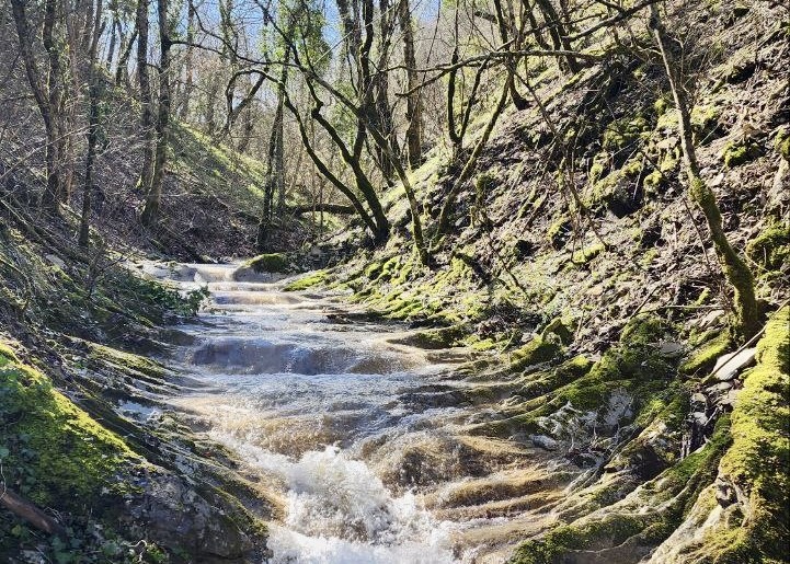 Приток реки Мезыбь