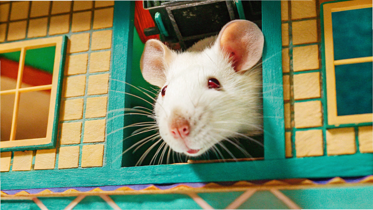 Листайте вправо, чтобы увидеть больше изображений