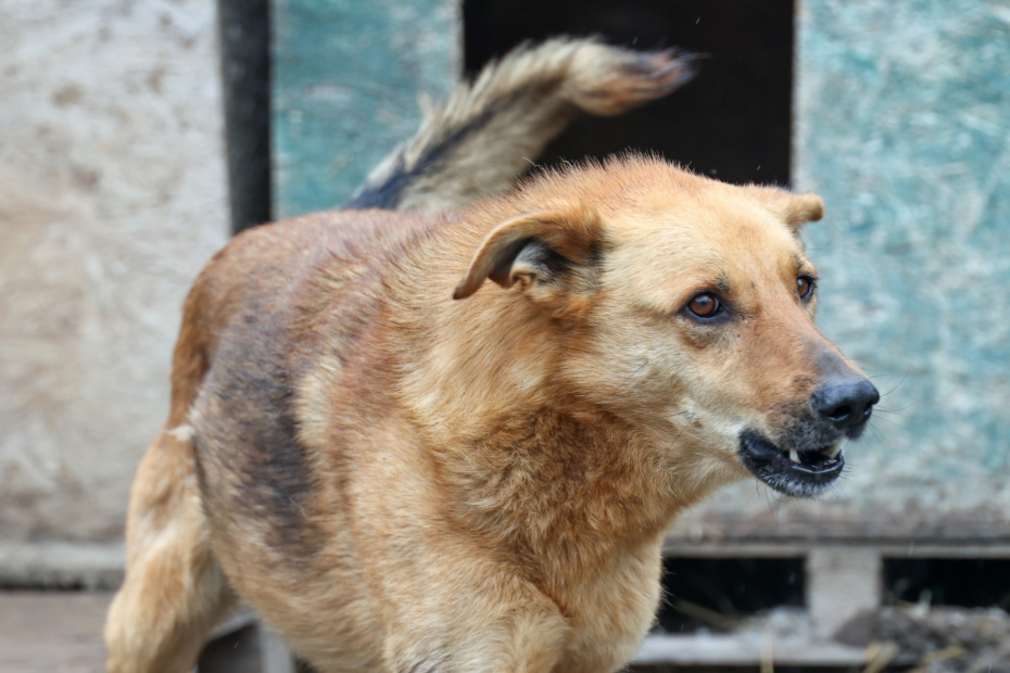    Сергей Петров/NEWS.ru