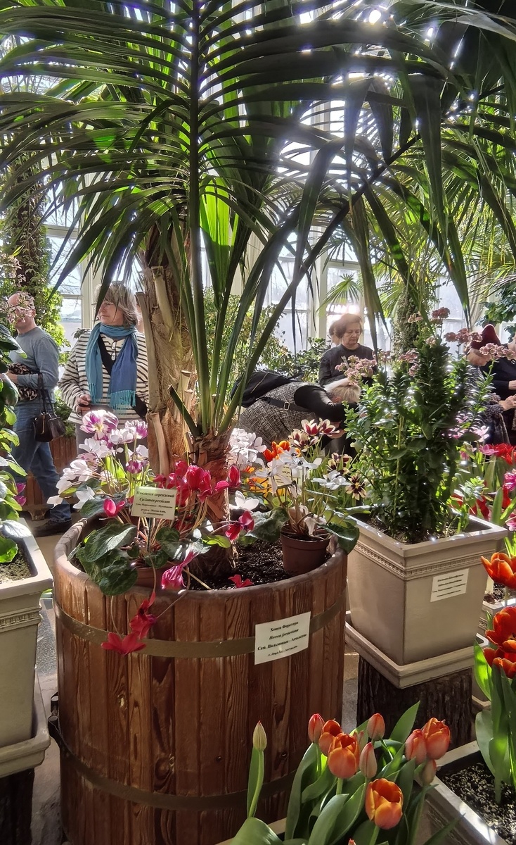 Весна кругом!