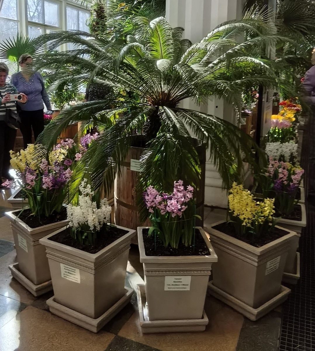 Головокружительные ароматы