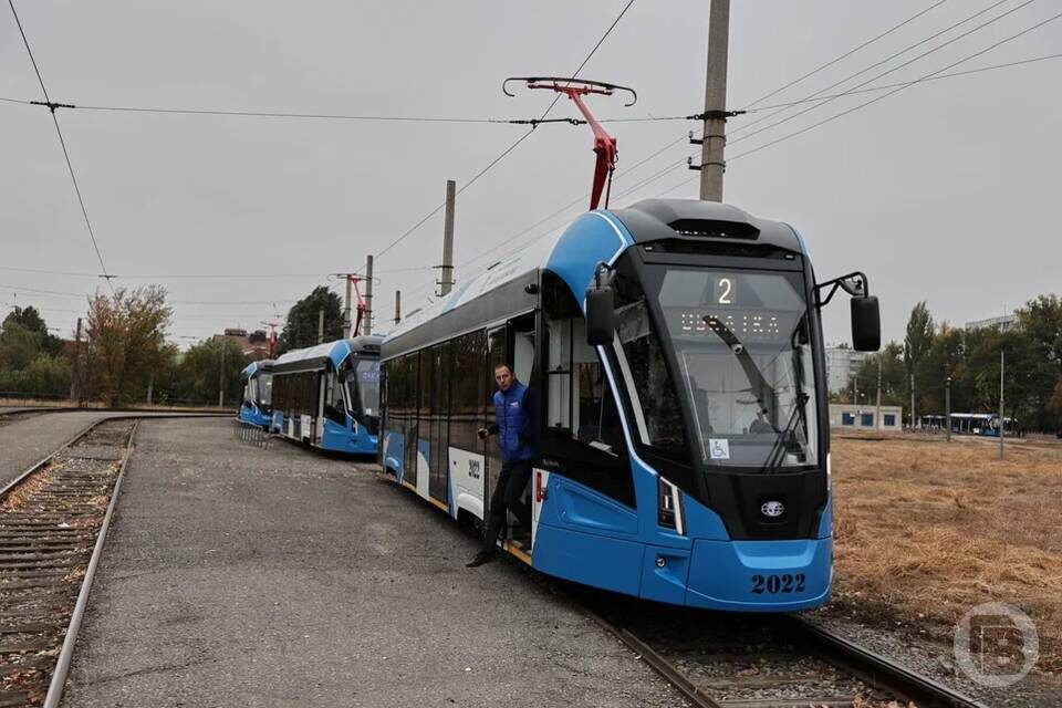    Фото: Дмитрий Рогулин / "Городские вести"
