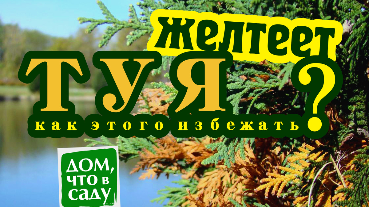 Дом, что в саду