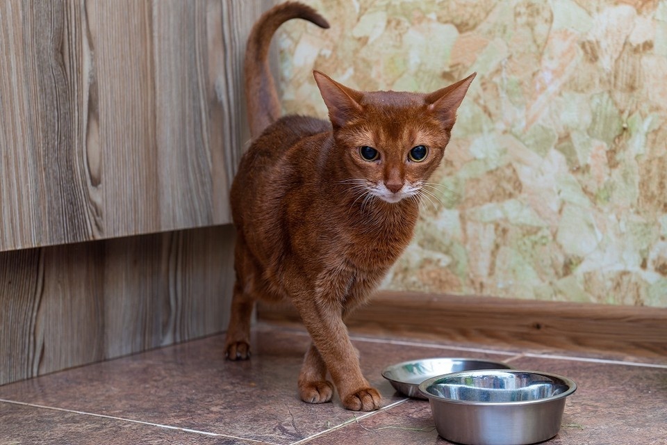    Сама добавка безопасна и действенна. Михаил ФРОЛОВ