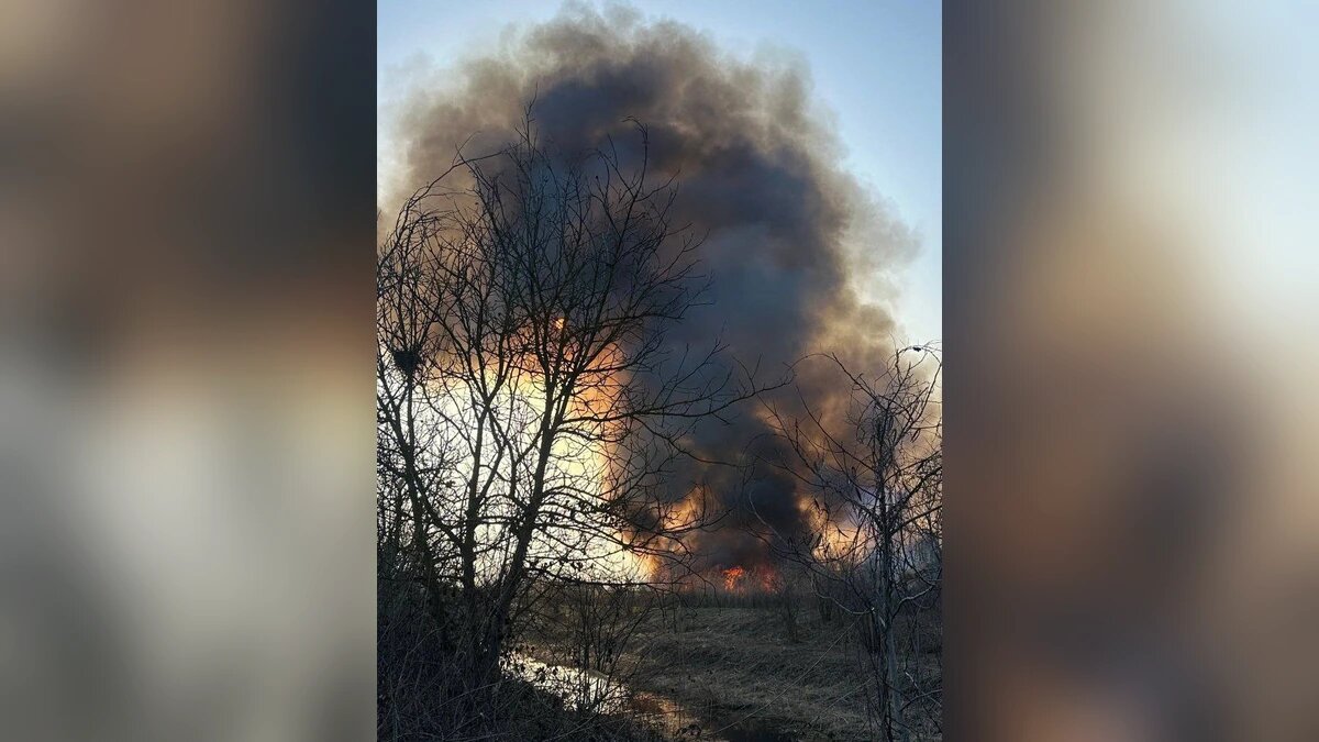    Фото t.me/elizavetka_krd