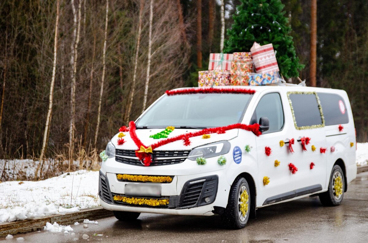    © Фонд "Дедморозим"