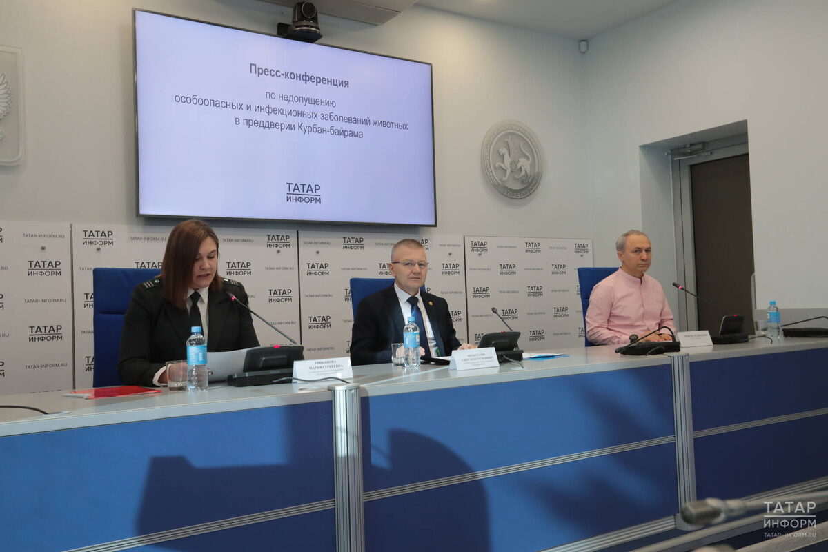 Фото: © Рамиль Гали / «Татар-информ»