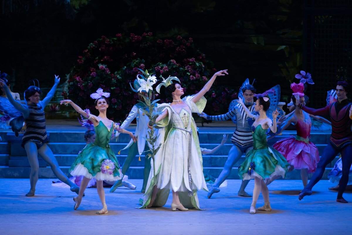 Балет «Роман Бутона розы»