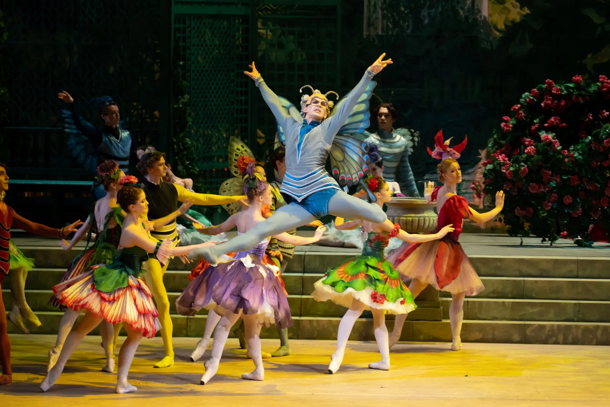 Балет «Роман Бутона розы»