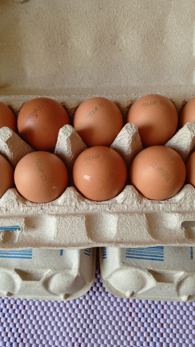Яйца 🥚. Фото автора.