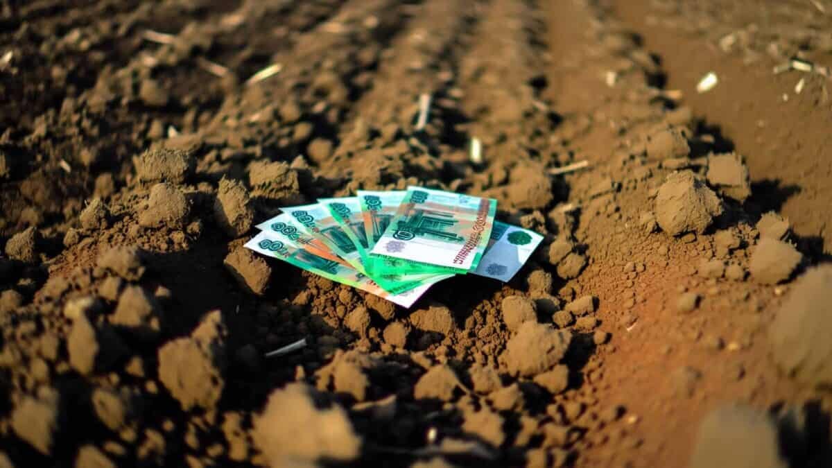    Фото - slanews.ru Никита Филлипов