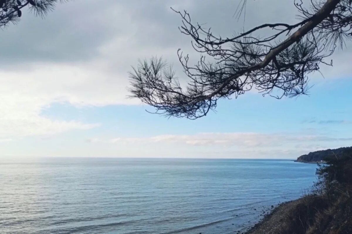    Предотвращена атака на компрессорную станцию в Краснодарском крае