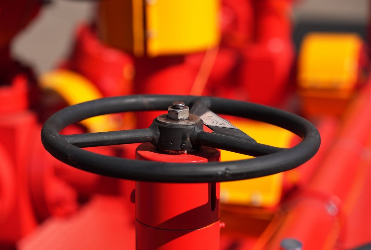     / Источник: © ИЗВЕСТИЯ/Дмитрий Коротаев