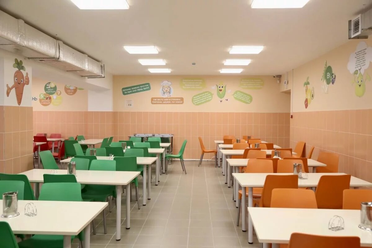    Власти Богородска назвали фейком информацию о котлетах с плесенью в школе