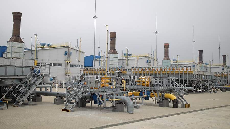    Фото: РИА Новости/Виталий Тимкив