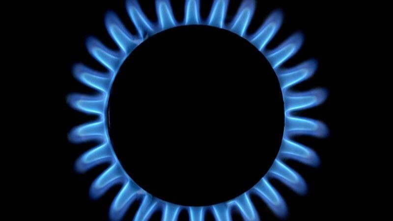    Фото: angelo gilardelli/Shutterstock/Fotodom