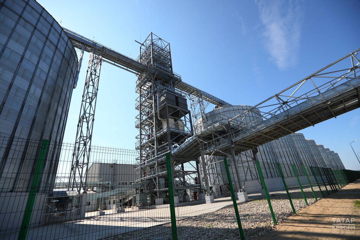 Фото: © Михаил Захаров / «Татар-информ»
