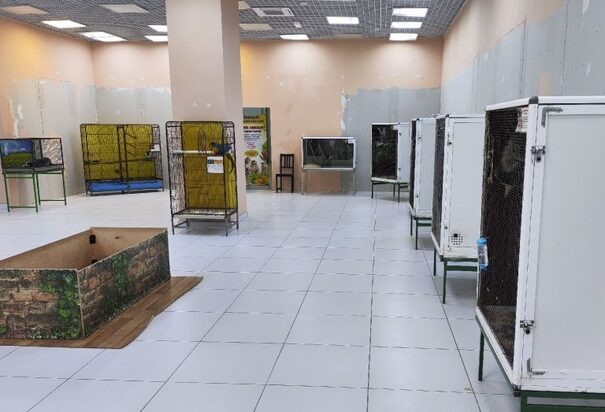     Фото: 43.fsvps.gov.ru