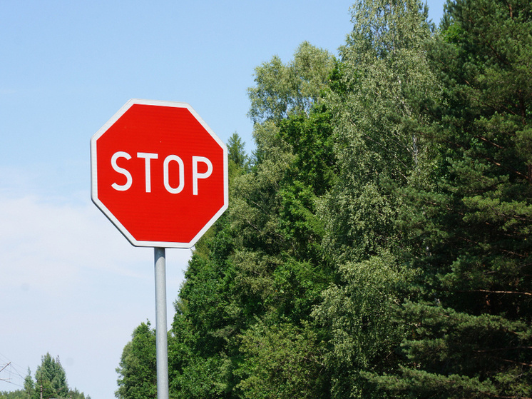     Источник: Министерство автомобильных дорог и транспорта Тамбовской области