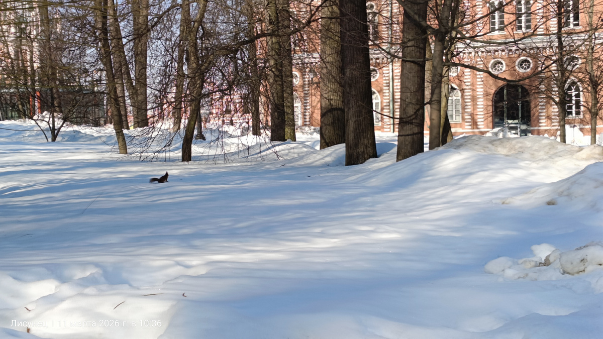 Фото автора.11марта.Царицыно.