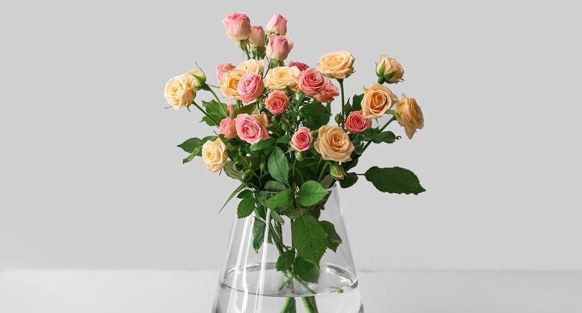    Pixel_shot / Фотобанк Лори