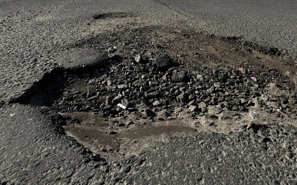    Фото: "Брянские новости"