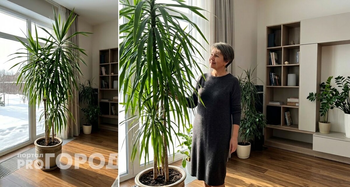    Фото Нина Капустина для pg21.ru