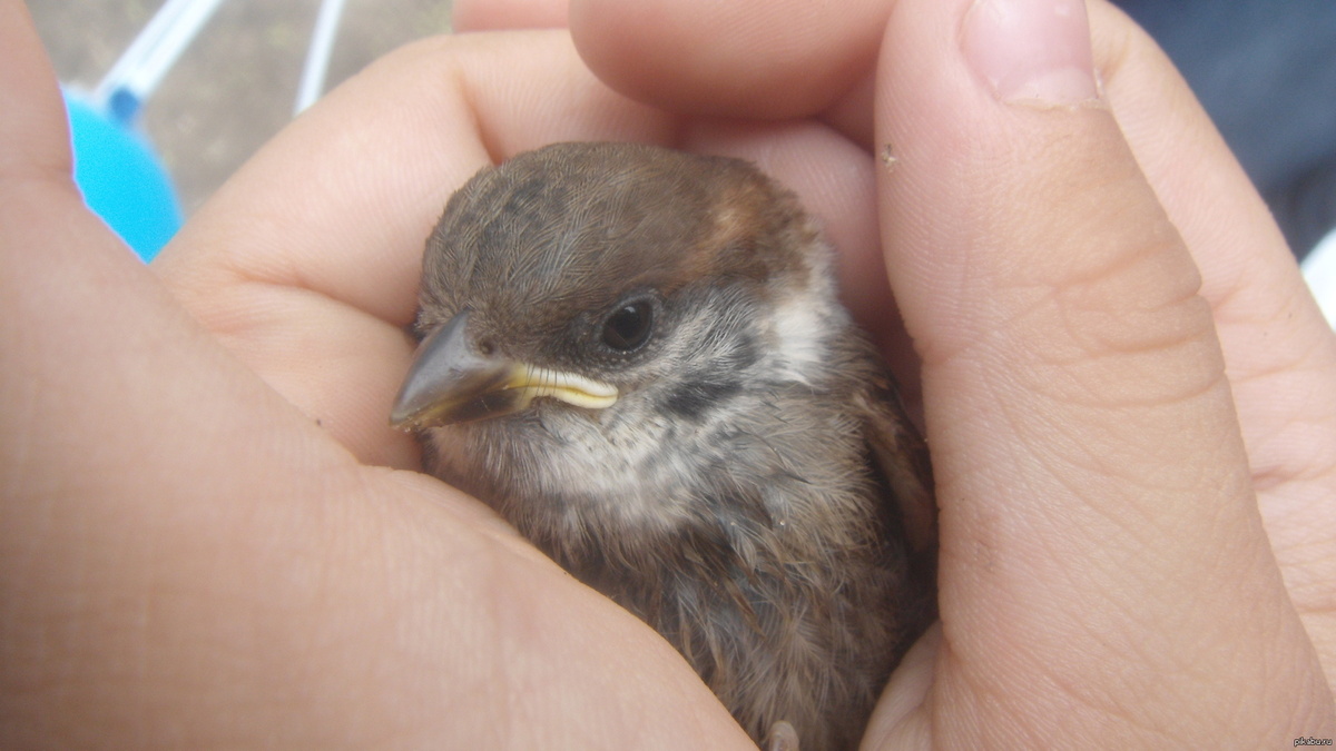 Фото взято из открытого доступа.